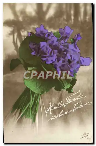 Cartes postales Fantaisie Fleurs