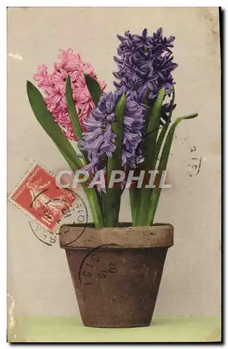 Cartes postales Fantaisie Fleurs