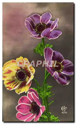 Cartes postales Fantaisie Fleurs