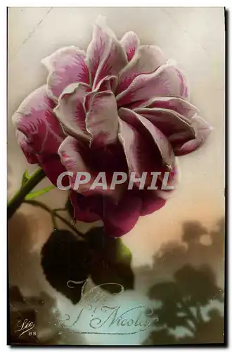 Cartes postales Fantaisie Fleurs Rose