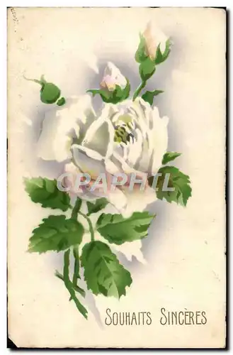 Cartes postales Fantaisie Fleurs