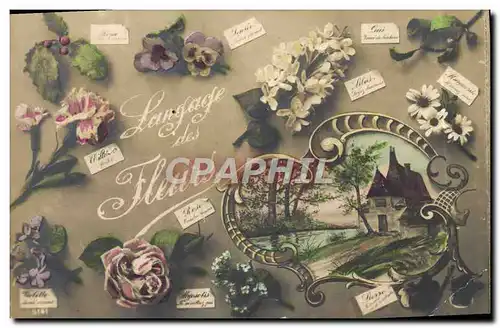 Cartes postales Fantaisie Fleurs