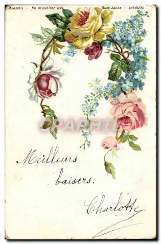 Cartes postales Myosotis Ne m&#39oubliez pas Rose Jaune Infidelite Fleurs