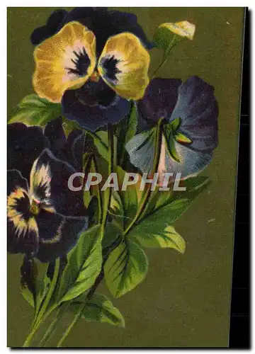 Cartes postales Serie Velluti Fleurs