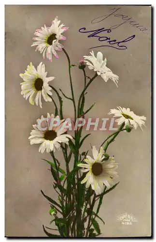 Cartes postales Fantaisie Fleurs