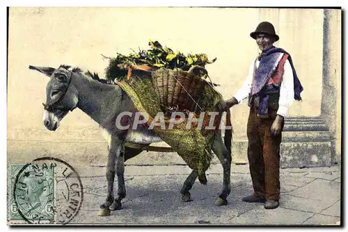 Cartes postales Napoli Venditore Di Erbaggi ane Mule