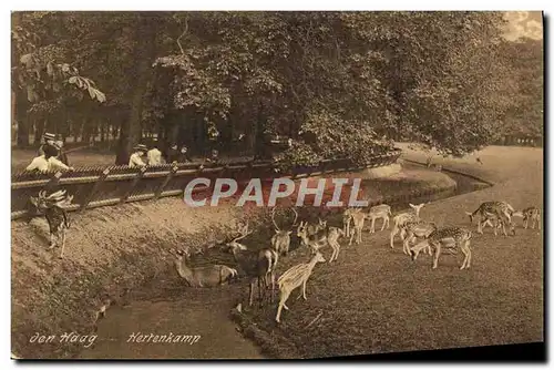 Cartes postales Herrekamp Den Haag