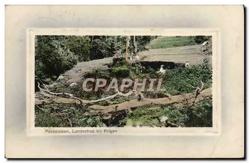 Cartes postales Pasoeroean Landschap Bij Prigen