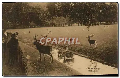 Cartes postales Gravenhage Hertenkamp Zoo