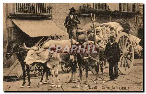 Cartes postales Napoli Carro da Trasportro Attelage Boeufs Ane TOP