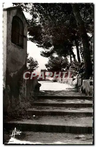 Cartes postales moderne Sanary sur Mer Chemin de l'oratoire