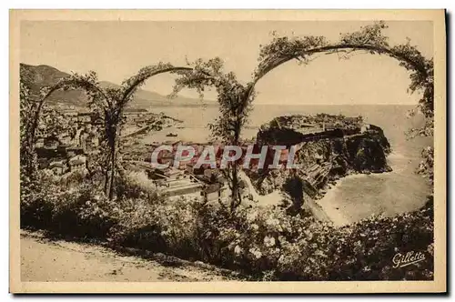 Cartes postales Monaco Vue Prise entre les fleurs