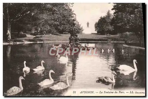 Ansichtskarte AK Avignon La Fontaine du Parc Cygnes