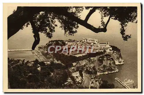 Cartes postales Monaco Le rocher entre les arbres