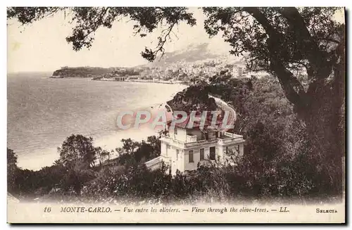 Cartes postales Monte Carlo Vue entre les Oliviers