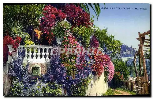 Cartes postales Cote d&#39Azur Mur fleuri