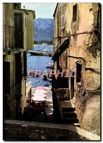 Cartes postales moderne Couleurs Et Lumiere De France La Corse Oasis De Beaute Calvi Une Des Petites Rues S&#39Ouvrant S