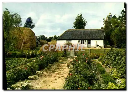 Cartes postales moderne Au Pays De Monts Marais Vendeen Bourrine