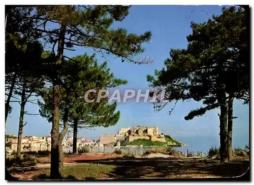 Moderne Karte Panorama De La Corse Calvi La Cicadelle Et Le Ville Basse Depuis La