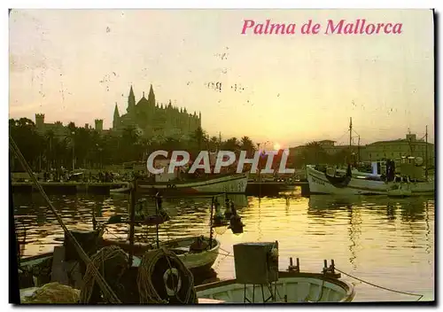 Cartes postales moderne Palma De Mallorca