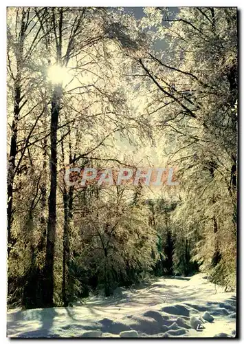 Cartes postales moderne L&#39Hiver En Dentelles