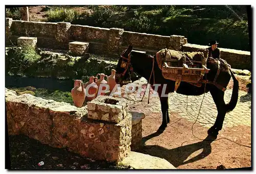 Cartes postales moderne Alte Algarve Portugal Aguada Na Fonte Nova Eau De La Fontaine Nouvelle