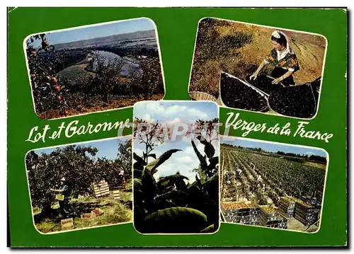 Cartes postales moderne La Verger De La France Le Triage De La Prune La Cueillette Des Peches La Fleur De Tabac Tomates