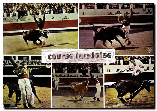MODERN CARD Race Landaise De Gauche Bullfight Bull