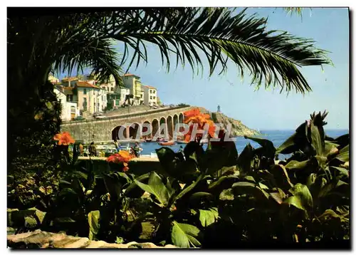 Cartes postales moderne Lumiere Et Couleurs Du Roussillon La Cote Vermeille Banyuls Sur Mer Vue Sur La Corniche