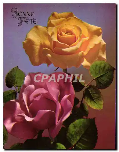 Cartes postales moderne Bonne Fete Fleurs