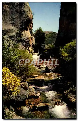 Cartes postales moderne Torrent dans les gorges