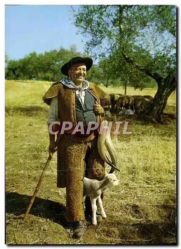 Cartes postales moderne Alentejo Pastor Folklore