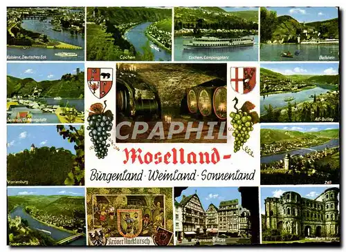 Cartes postales moderne Moselland Burgenland Weinland Sonnenland