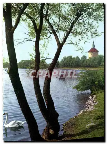 Cartes postales moderne Malmo Pildammarna Cygne