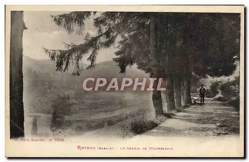 Cartes postales Rothau Le Chamin De Wildersbach