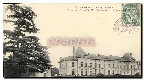 Cartes postales Chateau de la Malmaison Cedre plante par SM l&#39imperatrice Josephine