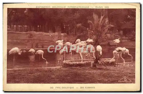 Cartes postales Exposition Coloniale Internationale Paris 1931 Parc zoologique Des flamants Zoo Oiseau