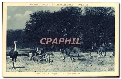 Cartes postales Exposition Coloniale Internationale De Paris Parc Zoologique La savane africaine Autruche Zebre