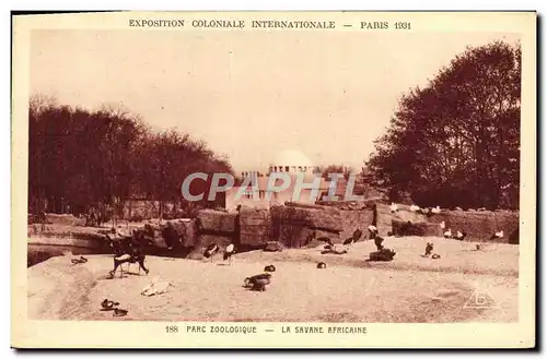 Ansichtskarte AK Exposition Coloniale Internationale De Paris Parc Zoologique La savane africaine Zoo