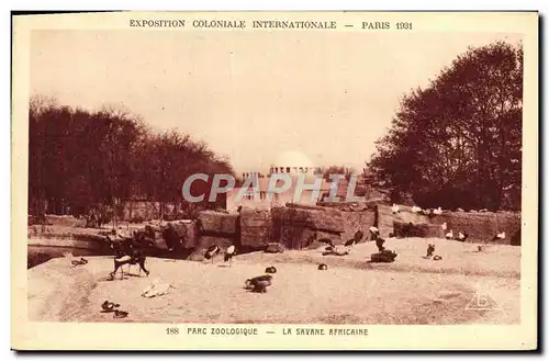 Cartes postales Exposition Coloniale Internationale De Paris Parc Zoologique La savane africaine Zoo