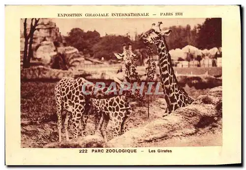 Cartes postales Exposition Coloniale Internationale De Paris Parc Zoologique Les girafes Zoo