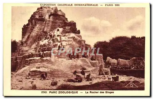 Ansichtskarte AK Exposition Coloniale Internationale De Paris Parc Zoologique Zoo Le rocher des singes