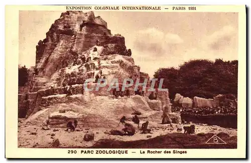 Cartes postales Exposition Coloniale Internationale De Paris Parc Zoologique Zoo Le rocher des singes