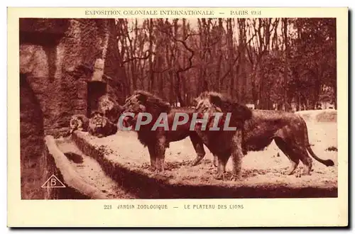 Ansichtskarte AK Exposition Coloniale Internationale De Paris Jardin Zoologique Le plateau des lions Lion Zoo