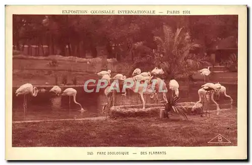 Cartes postales Exposition Coloniale Internationale De Paris Parc Zoologique Flamants roses Zoo