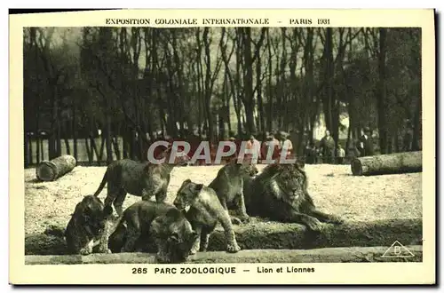 Cartes postales Exposition Coloniale Internationale De Paris Parc Zoologique Lions et lionnes Lion Zoo