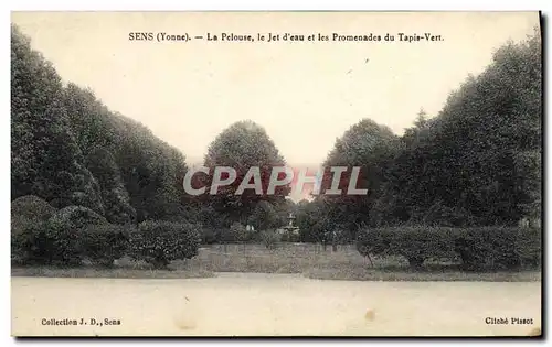 Cartes postales Sens La Pelouse Le Jet D'Eau Les Promenades Du Tapis Vert