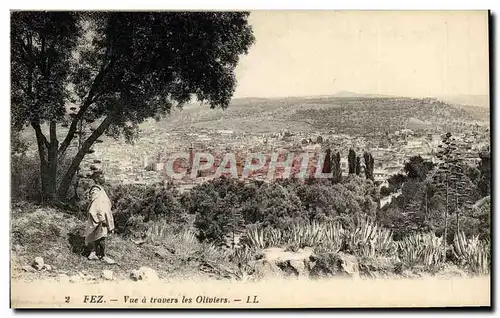 Cartes postales Fez Vue A Travers Les Oliviers