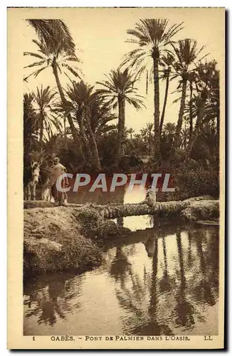 Ansichtskarte AK Gabes Pont De palmier Dans L&#39Oasis