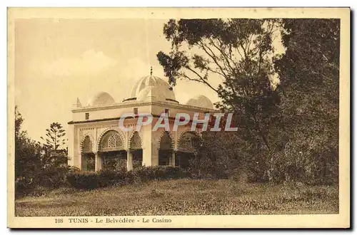 Cartes postales Tunis Le Belvedere Le Casino